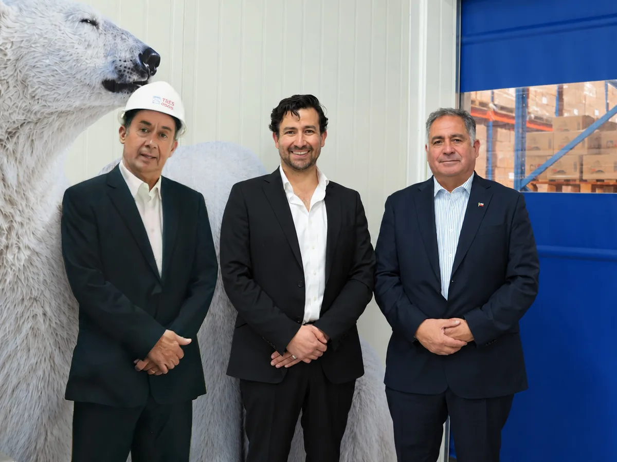 Tres integrantes de Marea Alta en la planta, frente a la figura de un oso polar y la puerta de la bodega.